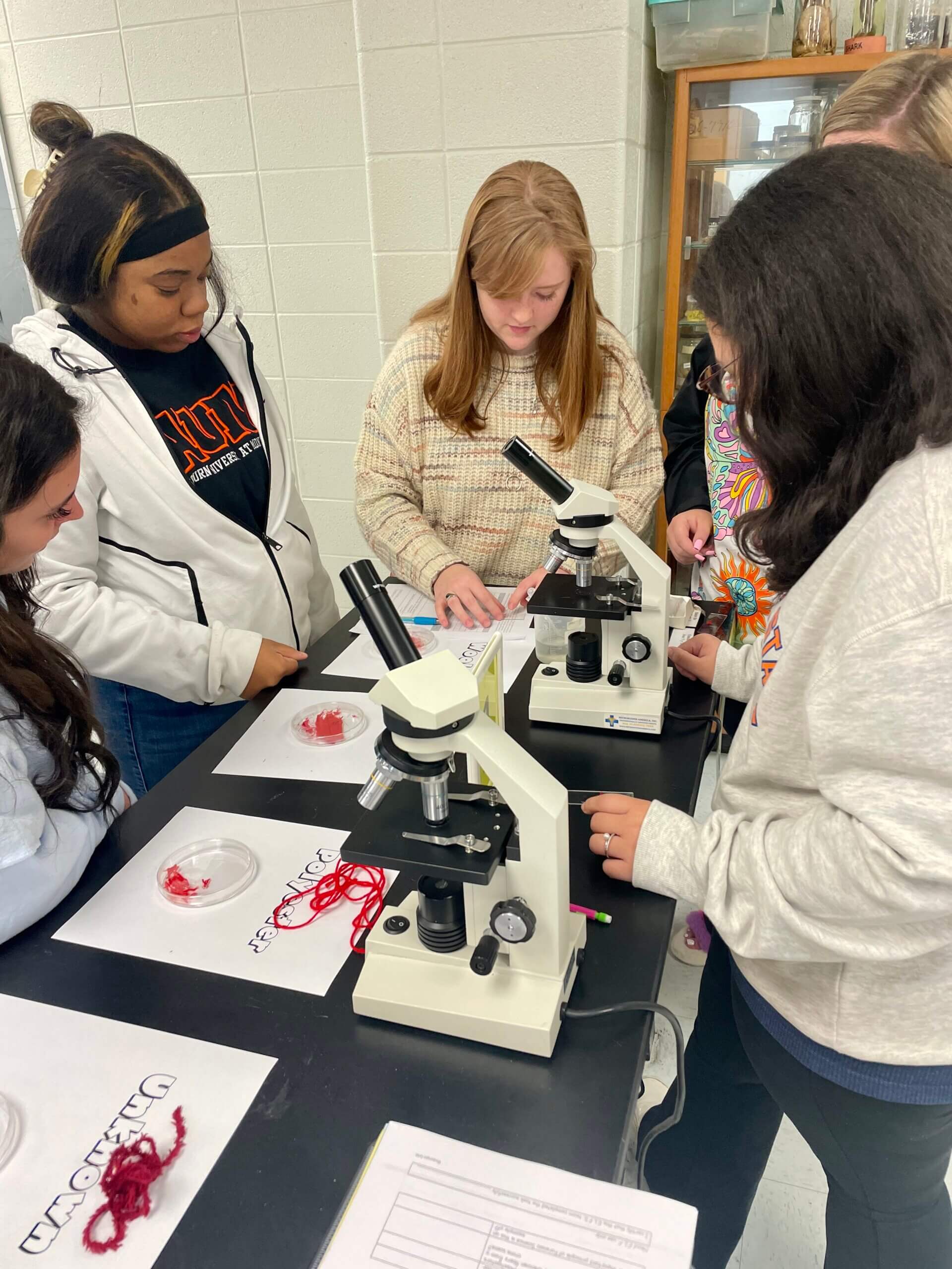 Students engaged in lab