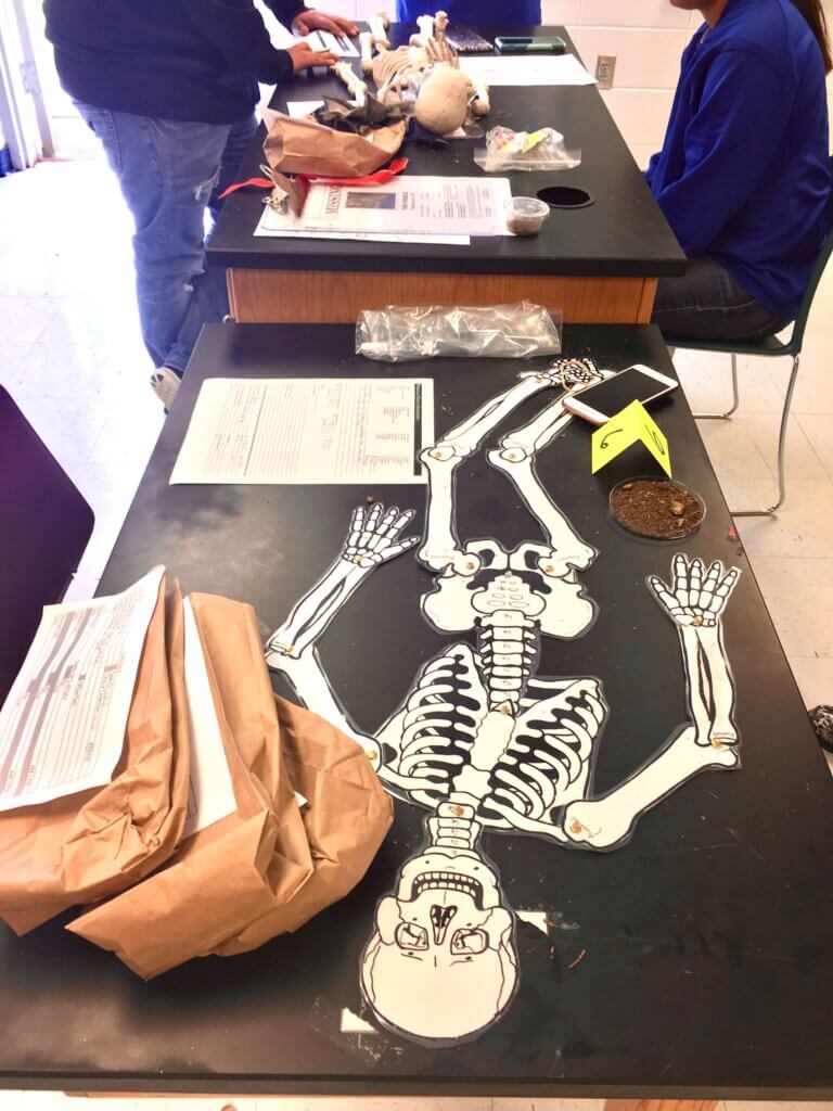 skeleton on lab table