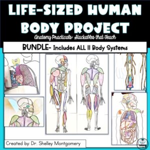 life sized human body project for all 11 body systems
